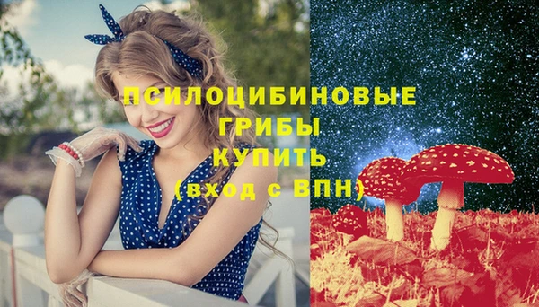 ГАЛЛЮЦИНОГЕННЫЕ ГРИБЫ Нефтегорск