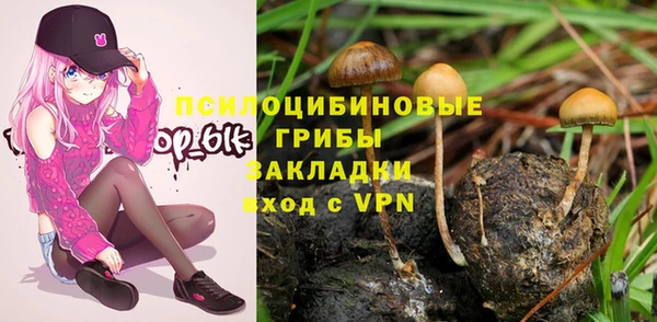 дмт Нефтекумск