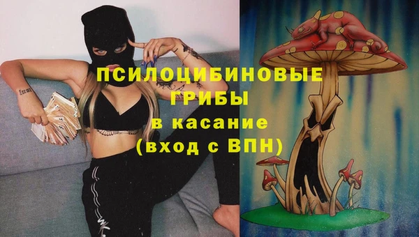 ГАЛЛЮЦИНОГЕННЫЕ ГРИБЫ Нефтегорск