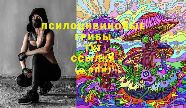мяу мяу мука Надым