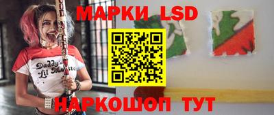 mdpv Гатчина