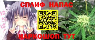 mdpv Гатчина