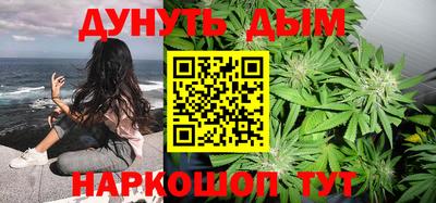 mdpv Гатчина