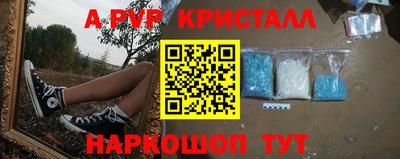 mdpv Гатчина
