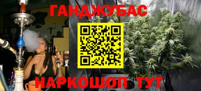 mdpv Гатчина