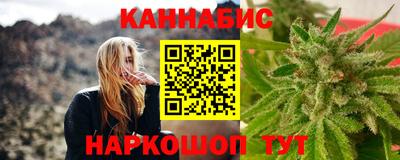 mdpv Гатчина