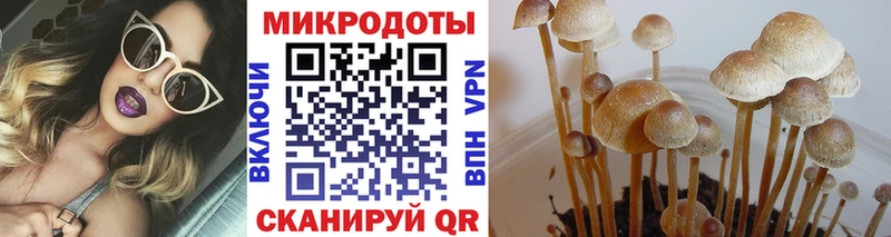 Галлюциногенные грибы Cubensis  где продают   Ангарск 
