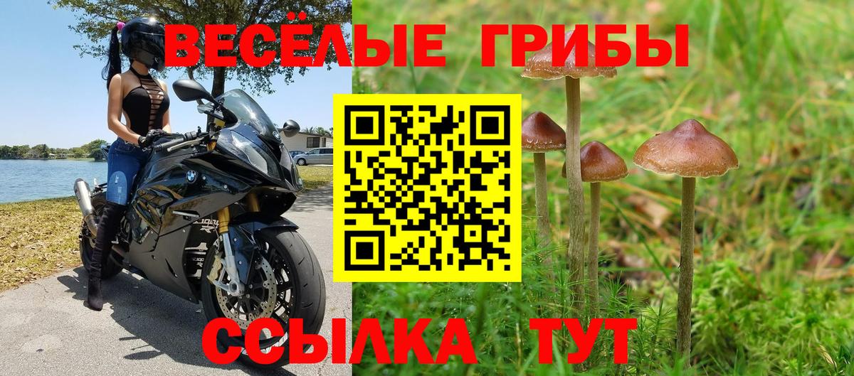 Галлюциногенные грибы Magic Shrooms  Вход с VPN  Ангарск 