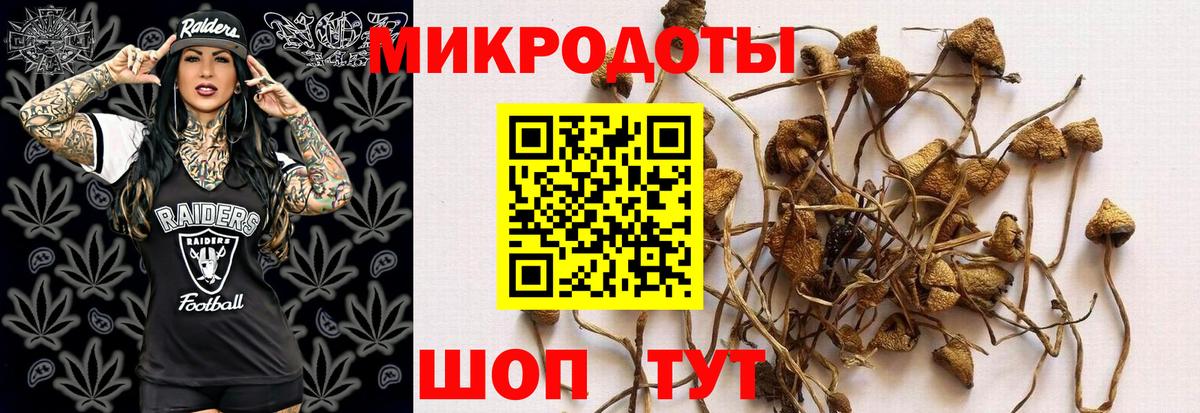 Галлюциногенные грибы MAGIC MUSHROOMS  Ангарск  Галлюциногенные грибы ЛСД 
